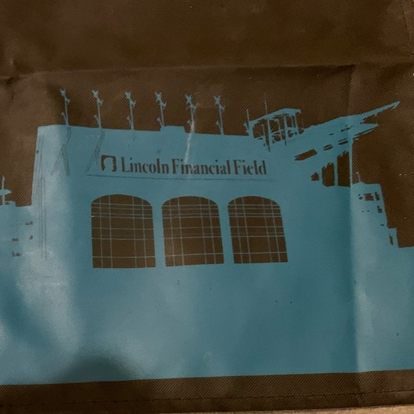 NFL EAGLES VTG Season Ticket Member FLAG BANNER “Every Fall We Rise “ 22" X 14” - Picture 4 of 13